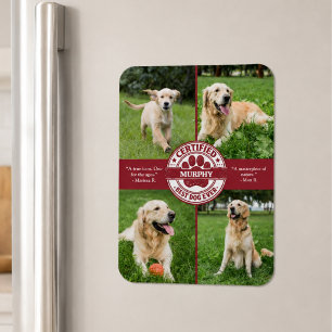 Magnet Flexible Meilleur chien du monde Collage photo