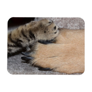 Magnet Flexible Meilleurs amis pour toujours par Shirley Taylor