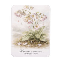 Memoria Evanescens – La Fleur Éphémère Botanique