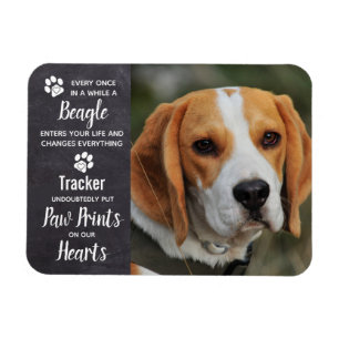 Magnet Flexible Mémorial beagle