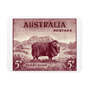 Magnet Flexible Merino Sheep australien 1934