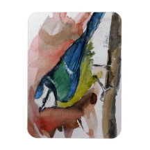 Mésange bleue