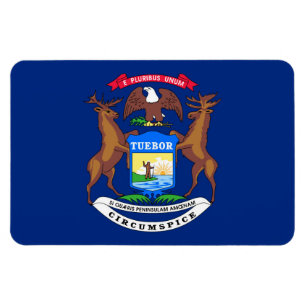 Magnet Flexible Michigan