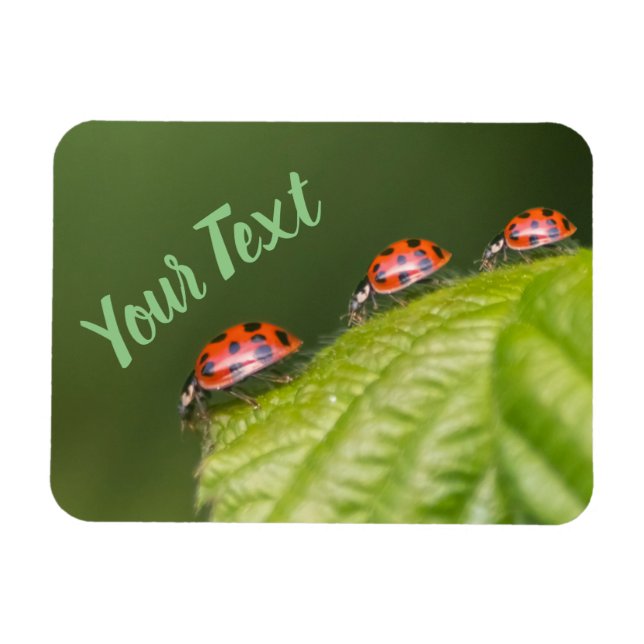 Magnet Flexible Mignonne petite coccinelle donne chance et fortune (Horizontal)
