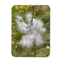 Milkweed | Papillon | Flexible