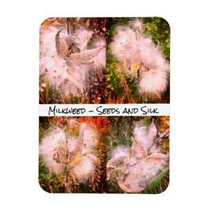 Magnet Flexible Milkweed   Sangria Flexible
