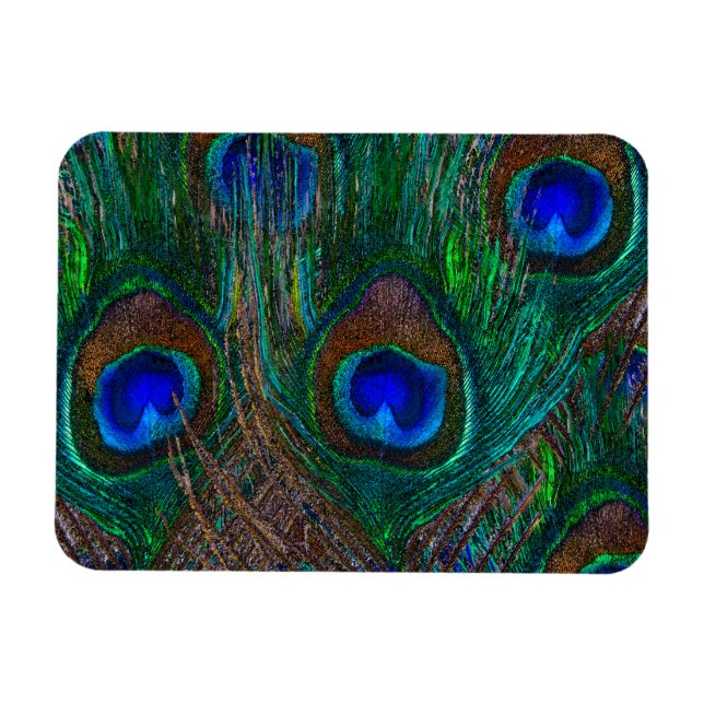 Magnet Flexible Minuit Peacock Plumes Etching Style Décor (Horizontal)