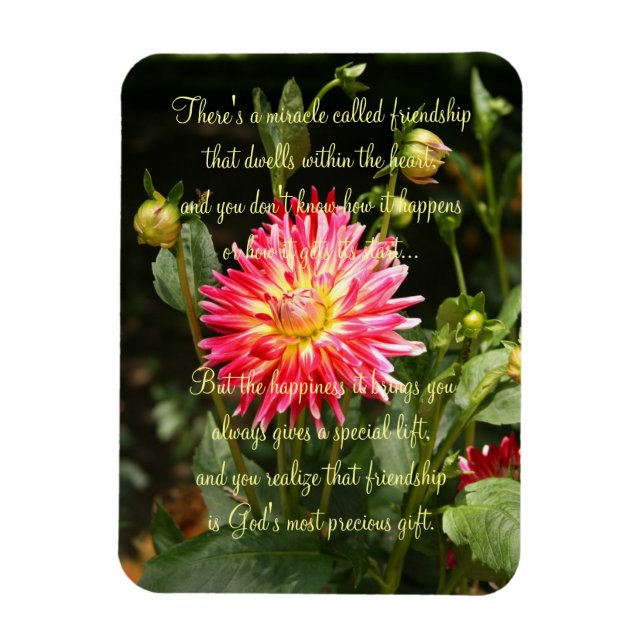 Magnet Flexible Miracle Of Friendship Poem Plaque (Vertical)