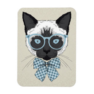 Magnet Flexible Mode Chat Siamese Smart
