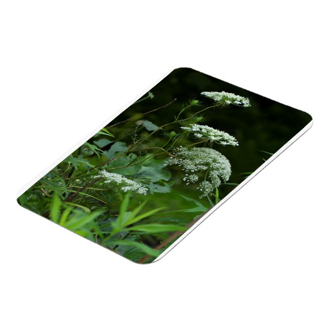 Magnet Flexible modèle d'aimant à refrig 3x4 (Côté Gauche)