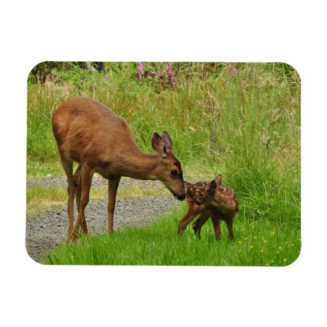 Magnet Flexible Momma Deer et son nouveau-né (Horizontal)