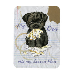 Magnet Flexible Mon Affenpinscher A Mangé Mon Plan De Leçon