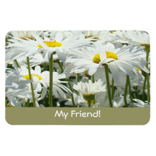 Magnet Flexible Mon ami ! aimants Marguerites blanches Fleurs Amis