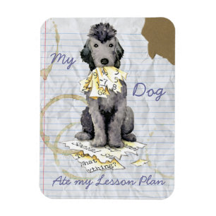 Magnet Flexible Mon Bedlington Terrier Ate Mon Plan De Leçon Magn