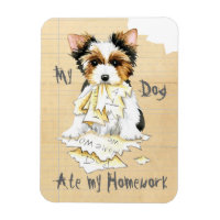 Mon Biewer Terrier A Mangé Mon Aimant De Travail À