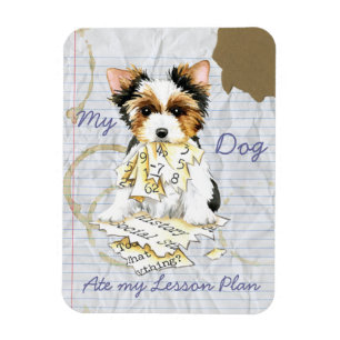 Magnet Flexible Mon Biewer Terrier Ate Mon Plan de leçon Aimant