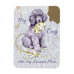 Magnet Flexible Mon caniche standard a mangé mon plan de cours