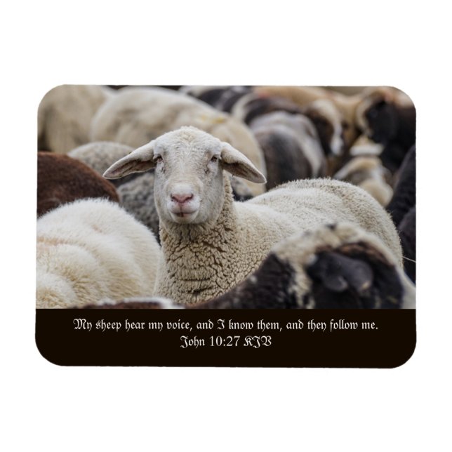 Magnet Flexible Mon mouton entend ma voix, mes écritures, les mout (Horizontal)