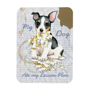 Magnet Flexible Mon Teddy Roosevelt Terrier Mangé Mon plan de leço