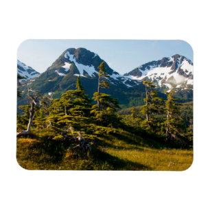 Magnet Flexible Mont Eccles près de Cordova, Alaska