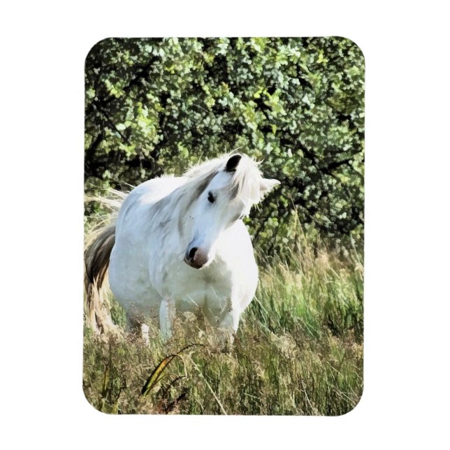MAGNET FLEXIBLE MONTAGNE CHAUDE PONY (Vertical)