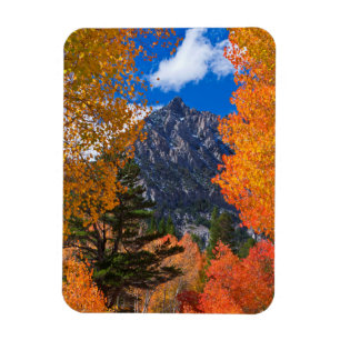 Magnet Flexible Montagne encadrée dans le feuillage d'automne, CA