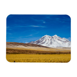 Magnet Flexible Montagnes couronnées de neige et prairie de Puna