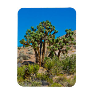Magnet Flexible Monument national de Gold Butte