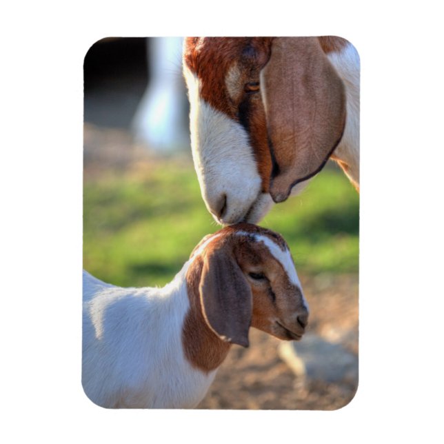 Magnet Flexible Mother Goat et bébé (Vertical)