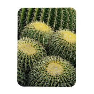 Magnet Flexible Motif de cactus