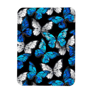 Magnet Flexible Motif sans couleur foncée avec papillons bleus Mor