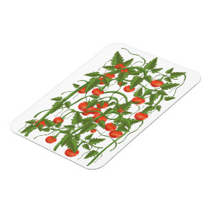Magnet Flexible Motif Tomates