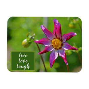 Magnet Flexible Motivation de la fleur rose et violet de Dahlia