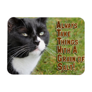 Magnet Flexible Motivation du grain de sel Chat Encourageant Citat