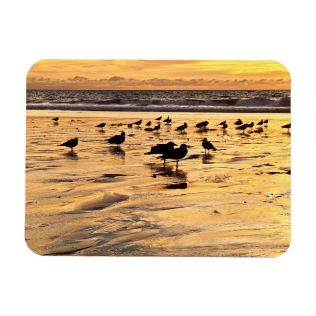Magnet Flexible Mouettes sur la plage au coucher du soleil (Horizontal)