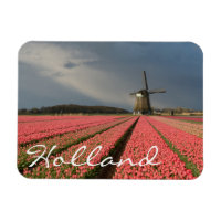Moulin à vent avec tulipes roses au printemps
