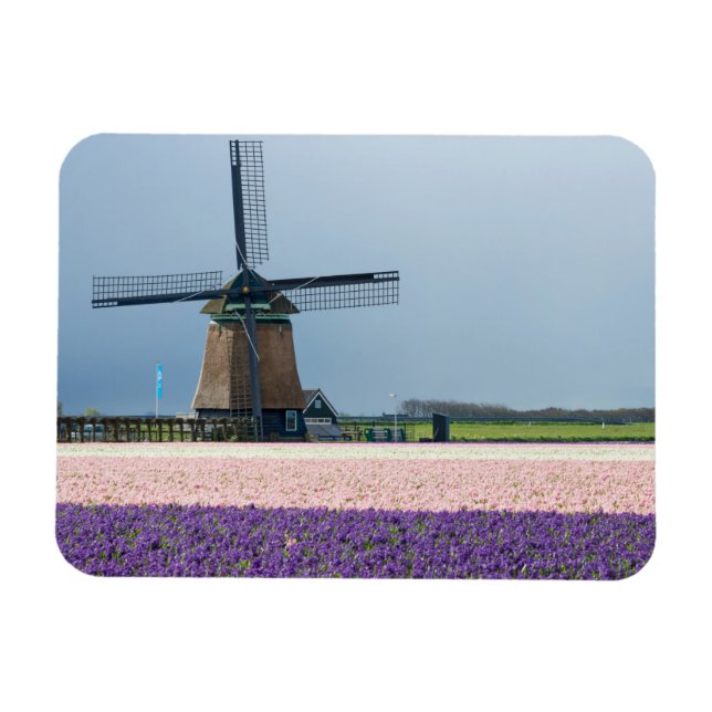 Magnet Flexible Moulin à vent traditionnel aux fleurs roses et vio (Horizontal)