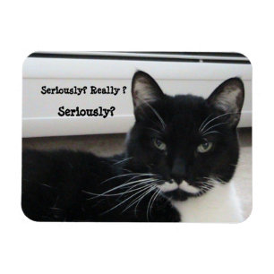 Magnet Flexible Moustache Tuxedo Chat (Sérieusement ?)