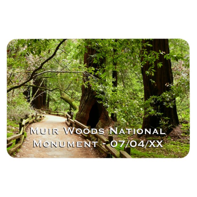 Magnet Flexible Muir Woods Path II Nature Photography (Horizontal)
