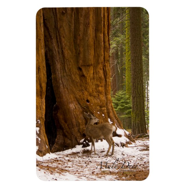 Magnet Flexible Mule Deer (Vertical)