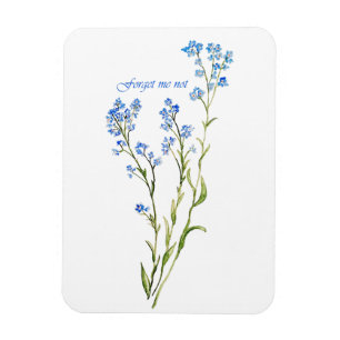 Magnet Flexible Myosotis fleur de jardin aquarelle personnalisée