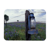 N.A., États-Unis, Texas, Llano, Lanterne bleue, Ch