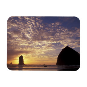 Magnet Flexible NA, États-Unis, Oregon, côte de l'Oregon, Canon Be