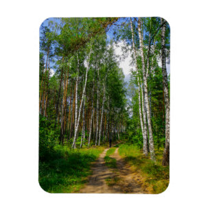 Magnet Flexible Nature Paysage Paysage Paysage Forêt Birch Biéloru