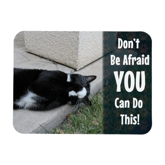 Magnet Flexible N'Ayez Pas Peur Motivation Chat Dire (Horizontal)
