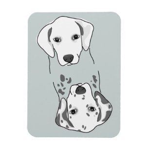 Magnet Flexible Nettoyez/aimant sale de lave-vaisselle