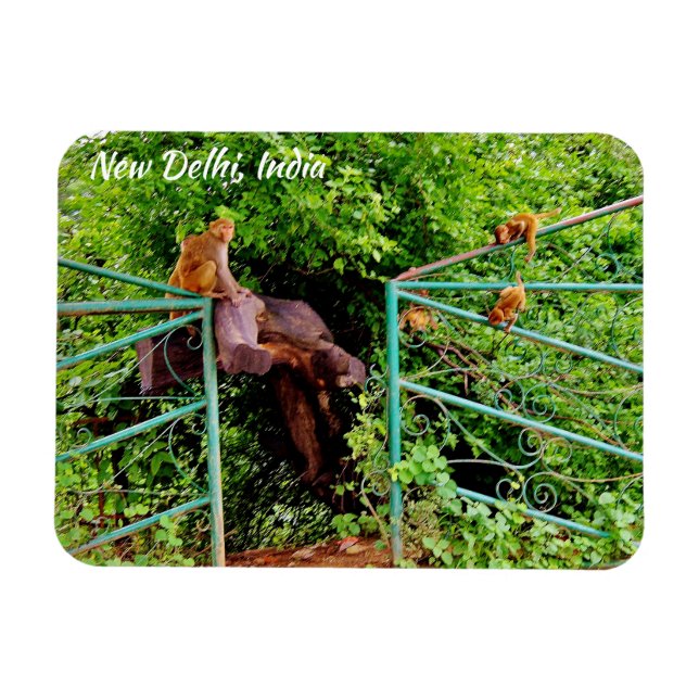 Magnet Flexible New Delhi, Inde (Horizontal)