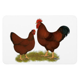 Magnet Flexible New Hampshire Reds