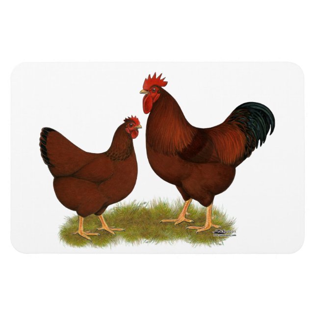 Magnet Flexible New Hampshire Reds (Horizontal)