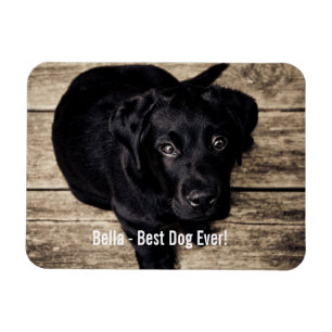 Magnet Flexible Nom noir personnalisé de photo de chien de